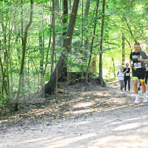 28.09.2025 - 33. Volkslauf durch das schöne Alstertal Dr. Thomas Lammeyer http://msf.ph/oto/8961571 28.09.2025 11:07:44 Laufen 3118, 3319, 3187 meine-sportfotos.de