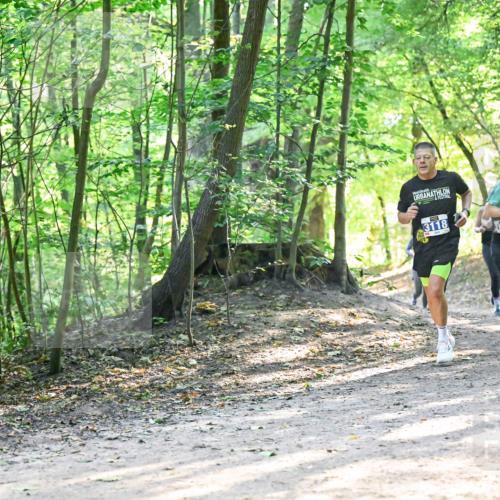 28.09.2025 - 33. Volkslauf durch das schöne Alstertal Dr. Thomas Lammeyer http://msf.ph/oto/8961573 28.09.2025 11:07:44 Laufen 3118, 3187, 3319, 15 meine-sportfotos.de