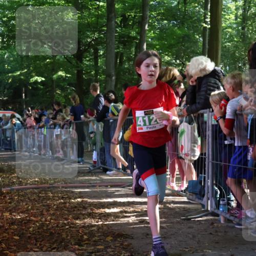 28.09.2025 - 33. Volkslauf durch das schöne Alstertal Strokosch-Dieckow http://msf.ph/oto/8961574 28.09.2025 10:55:29 Ziel 4046, 4120 meine-sportfotos.de