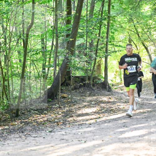 28.09.2025 - 33. Volkslauf durch das schöne Alstertal Dr. Thomas Lammeyer http://msf.ph/oto/8961575 28.09.2025 11:07:44 Laufen 3118, 3319, 3155 meine-sportfotos.de