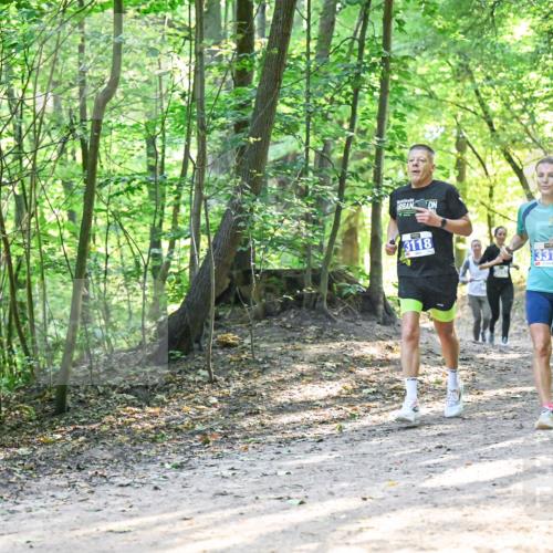 28.09.2025 - 33. Volkslauf durch das schöne Alstertal Dr. Thomas Lammeyer http://msf.ph/oto/8961577 28.09.2025 11:07:44 Laufen 3118, 15, 3319 meine-sportfotos.de