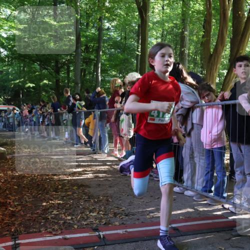 28.09.2025 - 33. Volkslauf durch das schöne Alstertal Strokosch-Dieckow http://msf.ph/oto/8961581 28.09.2025 10:55:29 Ziel 4046, 4120 meine-sportfotos.de