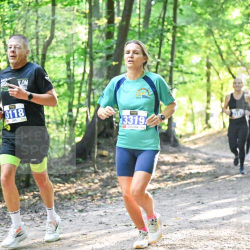 28.09.2025 - 33. Volkslauf durch das schöne Alstertal Dr. Thomas Lammeyer http://msf.ph/oto/8961582 28.09.2025 11:07:46 Laufen 3118, 2014, 3319 meine-sportfotos.de