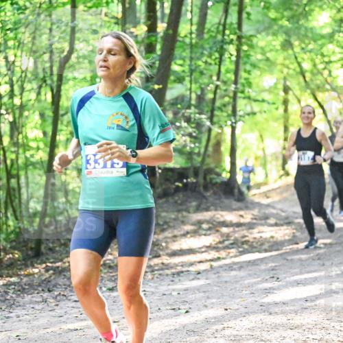 28.09.2025 - 33. Volkslauf durch das schöne Alstertal Dr. Thomas Lammeyer http://msf.ph/oto/8961584 28.09.2025 11:07:46 Laufen 18, 2014, 3375 meine-sportfotos.de