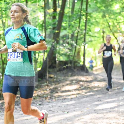 28.09.2025 - 33. Volkslauf durch das schöne Alstertal Dr. Thomas Lammeyer http://msf.ph/oto/8961585 28.09.2025 11:07:46 Laufen 2014, 3319 meine-sportfotos.de