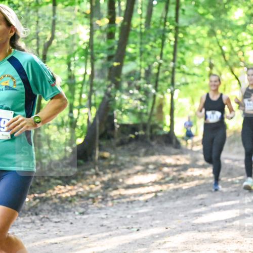28.09.2025 - 33. Volkslauf durch das schöne Alstertal Dr. Thomas Lammeyer http://msf.ph/oto/8961586 28.09.2025 11:07:46 Laufen 2014, 31, 3319 meine-sportfotos.de