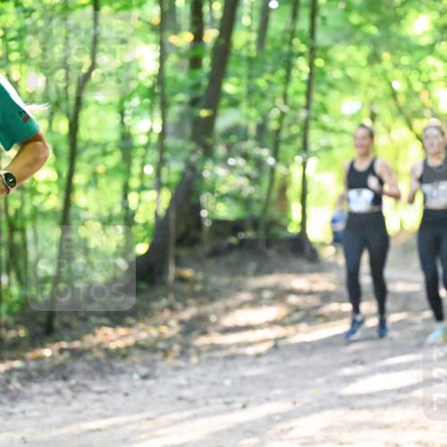 28.09.2025 - 33. Volkslauf durch das schöne Alstertal Dr. Thomas Lammeyer http://msf.ph/oto/8961588 28.09.2025 11:07:47 Laufen 2014, 319 meine-sportfotos.de