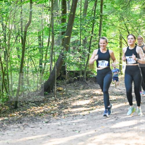 28.09.2025 - 33. Volkslauf durch das schöne Alstertal Dr. Thomas Lammeyer http://msf.ph/oto/8961589 28.09.2025 11:07:47 Laufen 1503, 315 meine-sportfotos.de