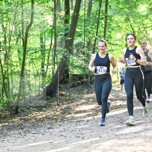 28.09.2025 - 33. Volkslauf durch das schöne Alstertal Dr. Thomas Lammeyer http://msf.ph/oto/8961590 28.09.2025 11:07:47 Laufen 3187, 3155 meine-sportfotos.de