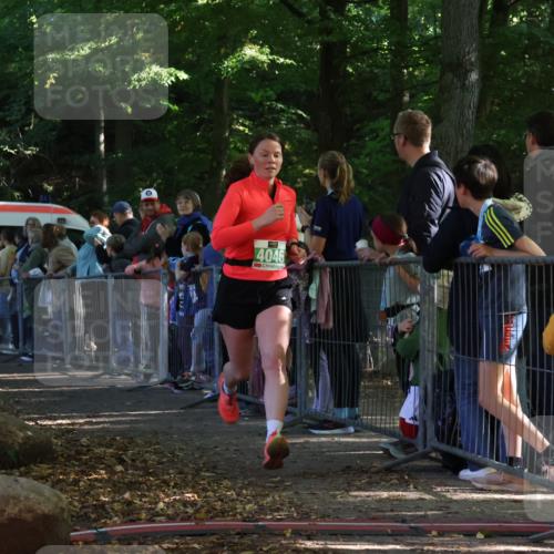 28.09.2025 - 33. Volkslauf durch das schöne Alstertal Strokosch-Dieckow http://msf.ph/oto/8961596 28.09.2025 10:55:35 Ziel 4046 meine-sportfotos.de