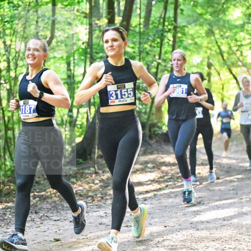 28.09.2025 - 33. Volkslauf durch das schöne Alstertal Dr. Thomas Lammeyer http://msf.ph/oto/8961599 28.09.2025 11:07:48 Laufen 3187, 3155, 081 meine-sportfotos.de