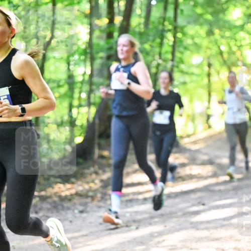 28.09.2025 - 33. Volkslauf durch das schöne Alstertal Dr. Thomas Lammeyer http://msf.ph/oto/8961600 28.09.2025 11:07:49 Laufen 315 meine-sportfotos.de