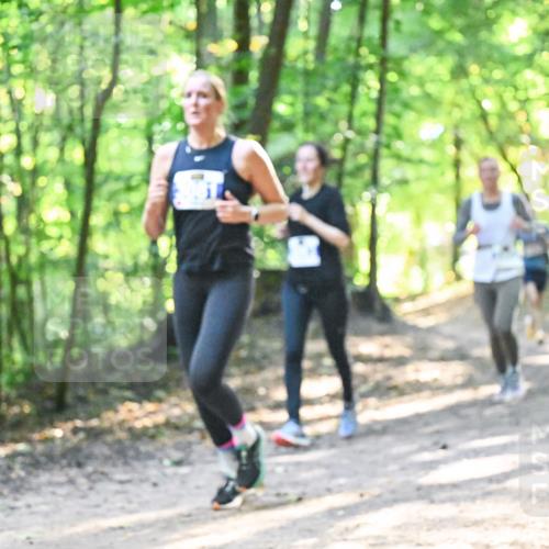 28.09.2025 - 33. Volkslauf durch das schöne Alstertal Dr. Thomas Lammeyer http://msf.ph/oto/8961602 28.09.2025 11:07:49 Laufen  meine-sportfotos.de
