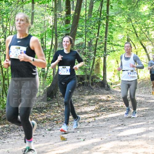 28.09.2025 - 33. Volkslauf durch das schöne Alstertal Dr. Thomas Lammeyer http://msf.ph/oto/8961603 28.09.2025 11:07:49 Laufen 3093, 3385, 1503 meine-sportfotos.de