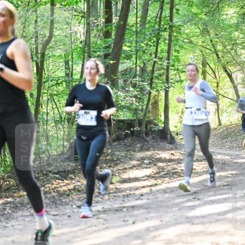 28.09.2025 - 33. Volkslauf durch das schöne Alstertal Dr. Thomas Lammeyer http://msf.ph/oto/8961604 28.09.2025 11:07:49 Laufen 1503 meine-sportfotos.de