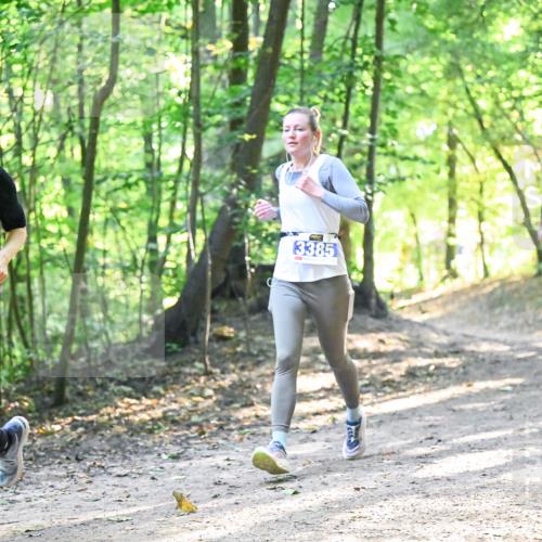 28.09.2025 - 33. Volkslauf durch das schöne Alstertal Dr. Thomas Lammeyer http://msf.ph/oto/8961608 28.09.2025 11:07:50 Laufen 3093, 3385 meine-sportfotos.de