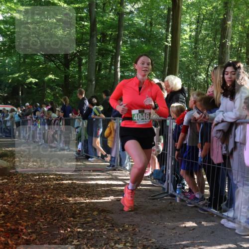 28.09.2025 - 33. Volkslauf durch das schöne Alstertal Strokosch-Dieckow http://msf.ph/oto/8961609 28.09.2025 10:55:36 Ziel 4046 meine-sportfotos.de