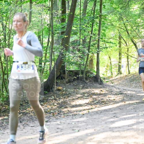 28.09.2025 - 33. Volkslauf durch das schöne Alstertal Dr. Thomas Lammeyer http://msf.ph/oto/8961614 28.09.2025 11:07:51 Laufen 3385, 1503 meine-sportfotos.de
