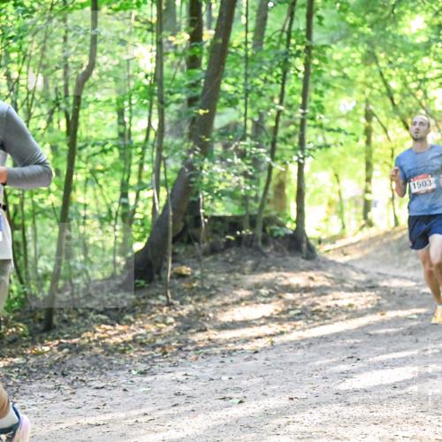 28.09.2025 - 33. Volkslauf durch das schöne Alstertal Dr. Thomas Lammeyer http://msf.ph/oto/8961617 28.09.2025 11:07:51 Laufen 3385, 1503 meine-sportfotos.de