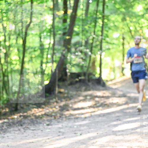 28.09.2025 - 33. Volkslauf durch das schöne Alstertal Dr. Thomas Lammeyer http://msf.ph/oto/8961618 28.09.2025 11:07:51 Laufen 385 meine-sportfotos.de