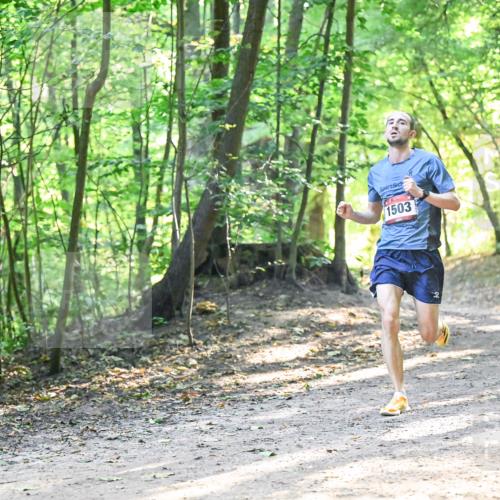 28.09.2025 - 33. Volkslauf durch das schöne Alstertal Dr. Thomas Lammeyer http://msf.ph/oto/8961619 28.09.2025 11:07:51 Laufen 1503 meine-sportfotos.de