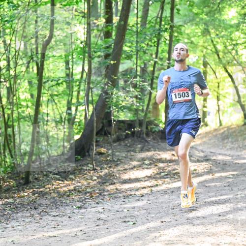 28.09.2025 - 33. Volkslauf durch das schöne Alstertal Dr. Thomas Lammeyer http://msf.ph/oto/8961620 28.09.2025 11:07:52 Laufen 1503 meine-sportfotos.de