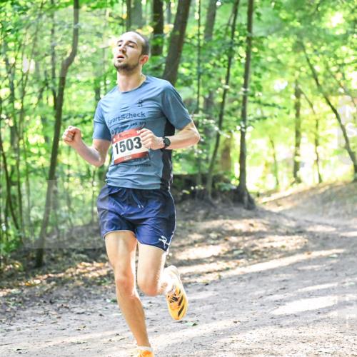 28.09.2025 - 33. Volkslauf durch das schöne Alstertal Dr. Thomas Lammeyer http://msf.ph/oto/8961625 28.09.2025 11:07:52 Laufen 1503 meine-sportfotos.de