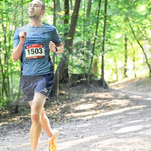 28.09.2025 - 33. Volkslauf durch das schöne Alstertal Dr. Thomas Lammeyer http://msf.ph/oto/8961627 28.09.2025 11:07:52 Laufen 1503 meine-sportfotos.de