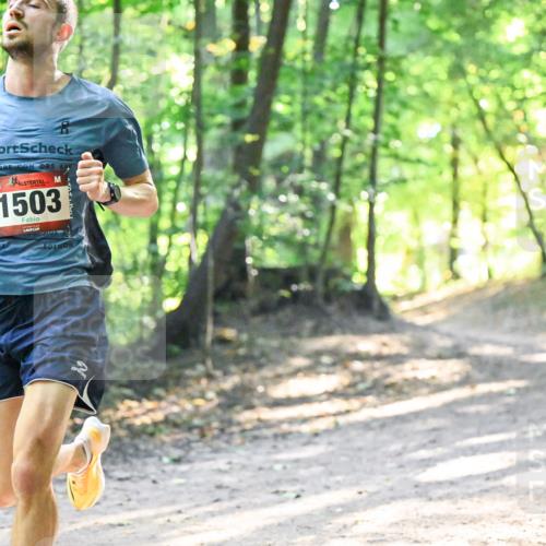 28.09.2025 - 33. Volkslauf durch das schöne Alstertal Dr. Thomas Lammeyer http://msf.ph/oto/8961628 28.09.2025 11:07:52 Laufen 1503 meine-sportfotos.de