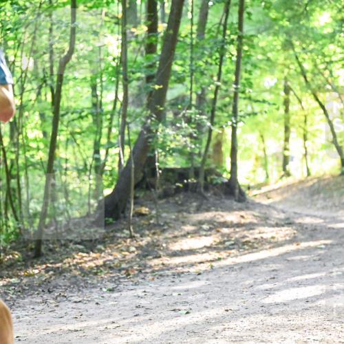 28.09.2025 - 33. Volkslauf durch das schöne Alstertal Dr. Thomas Lammeyer http://msf.ph/oto/8961629 28.09.2025 11:07:53 Laufen 03, 27 meine-sportfotos.de