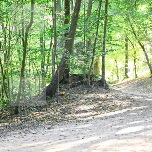 28.09.2025 - 33. Volkslauf durch das schöne Alstertal Dr. Thomas Lammeyer http://msf.ph/oto/8961632 28.09.2025 11:07:53 Laufen  meine-sportfotos.de