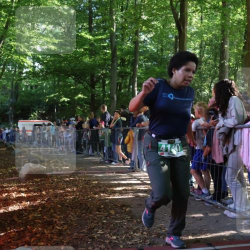 28.09.2025 - 33. Volkslauf durch das schöne Alstertal Strokosch-Dieckow http://msf.ph/oto/8961652 28.09.2025 10:55:55 Ziel 4140 meine-sportfotos.de