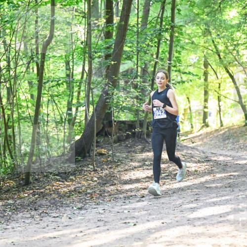 28.09.2025 - 33. Volkslauf durch das schöne Alstertal Dr. Thomas Lammeyer http://msf.ph/oto/8961653 28.09.2025 11:08:04 Laufen 3942 meine-sportfotos.de
