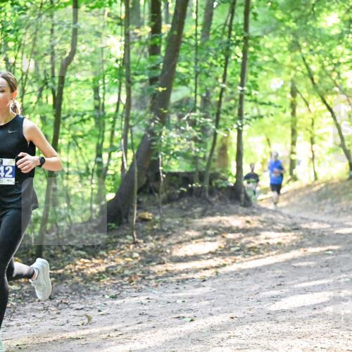 28.09.2025 - 33. Volkslauf durch das schöne Alstertal Dr. Thomas Lammeyer http://msf.ph/oto/8961662 28.09.2025 11:08:05 Laufen 3942 meine-sportfotos.de