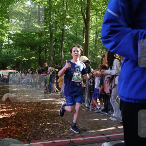 28.09.2025 - 33. Volkslauf durch das schöne Alstertal Strokosch-Dieckow http://msf.ph/oto/8961691 28.09.2025 10:56:10 Ziel 4079, 4911 meine-sportfotos.de