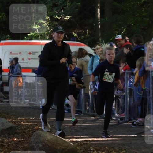 28.09.2025 - 33. Volkslauf durch das schöne Alstertal Strokosch-Dieckow http://msf.ph/oto/8961706 28.09.2025 10:56:21 Ziel 4082, 4133, 4134 meine-sportfotos.de