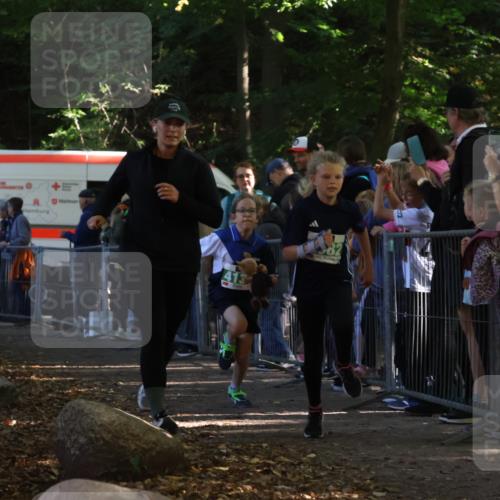 28.09.2025 - 33. Volkslauf durch das schöne Alstertal Strokosch-Dieckow http://msf.ph/oto/8961710 28.09.2025 10:56:21 Ziel 4082, 4133, 4134 meine-sportfotos.de