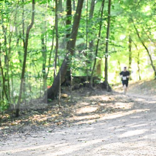 28.09.2025 - 33. Volkslauf durch das schöne Alstertal Dr. Thomas Lammeyer http://msf.ph/oto/8961718 28.09.2025 11:08:15 Laufen  meine-sportfotos.de