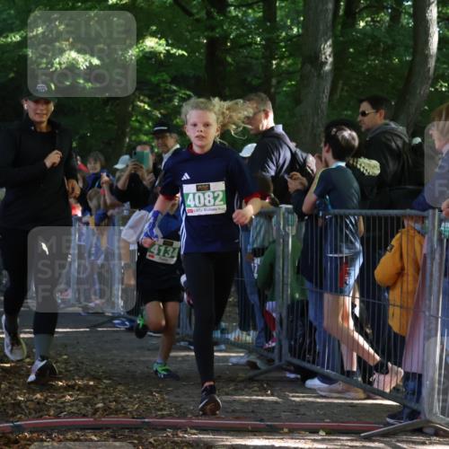 28.09.2025 - 33. Volkslauf durch das schöne Alstertal Strokosch-Dieckow http://msf.ph/oto/8961720 28.09.2025 10:56:22 Ziel 4082, 4133, 4134 meine-sportfotos.de