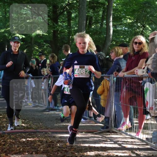 28.09.2025 - 33. Volkslauf durch das schöne Alstertal Strokosch-Dieckow http://msf.ph/oto/8961725 28.09.2025 10:56:23 Ziel 4082, 4133, 4134 meine-sportfotos.de