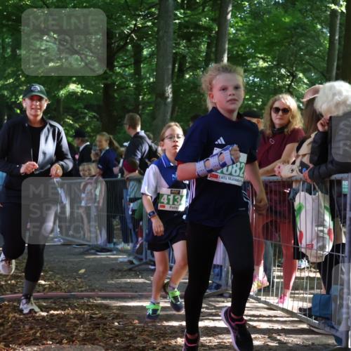 28.09.2025 - 33. Volkslauf durch das schöne Alstertal Strokosch-Dieckow http://msf.ph/oto/8961732 28.09.2025 10:56:23 Ziel 4082, 4133, 4134 meine-sportfotos.de