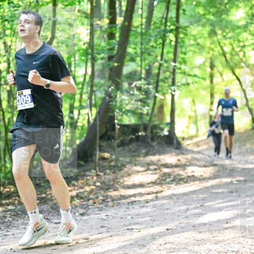 28.09.2025 - 33. Volkslauf durch das schöne Alstertal Dr. Thomas Lammeyer http://msf.ph/oto/8961733 28.09.2025 11:08:21 Laufen 309, 23, 28 meine-sportfotos.de