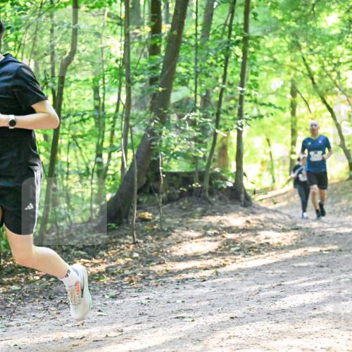 28.09.2025 - 33. Volkslauf durch das schöne Alstertal Dr. Thomas Lammeyer http://msf.ph/oto/8961734 28.09.2025 11:08:21 Laufen 309, 1, 22 meine-sportfotos.de