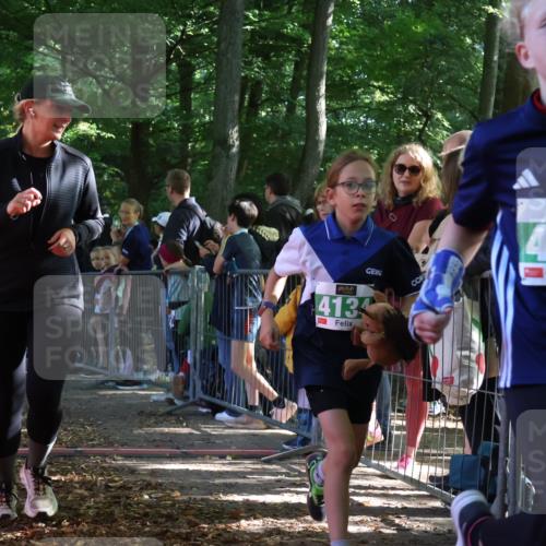 28.09.2025 - 33. Volkslauf durch das schöne Alstertal Strokosch-Dieckow http://msf.ph/oto/8961738 28.09.2025 10:56:24 Ziel 4082, 4133, 4134 meine-sportfotos.de