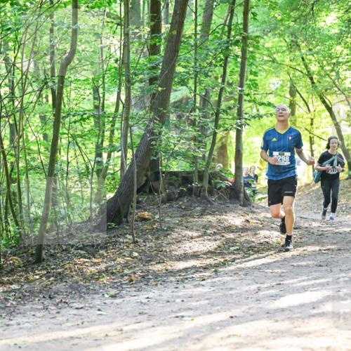 28.09.2025 - 33. Volkslauf durch das schöne Alstertal Dr. Thomas Lammeyer http://msf.ph/oto/8961742 28.09.2025 11:08:23 Laufen 298 meine-sportfotos.de