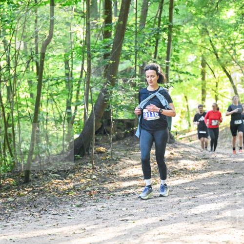 28.09.2025 - 33. Volkslauf durch das schöne Alstertal Dr. Thomas Lammeyer http://msf.ph/oto/8961763 28.09.2025 11:08:27 Laufen 3116 meine-sportfotos.de