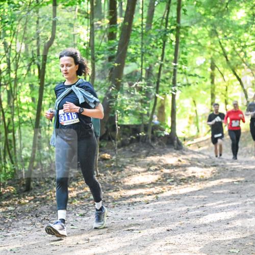 28.09.2025 - 33. Volkslauf durch das schöne Alstertal Dr. Thomas Lammeyer http://msf.ph/oto/8961770 28.09.2025 11:08:28 Laufen 3116 meine-sportfotos.de