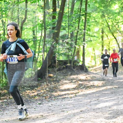 28.09.2025 - 33. Volkslauf durch das schöne Alstertal Dr. Thomas Lammeyer http://msf.ph/oto/8961773 28.09.2025 11:08:28 Laufen 3116 meine-sportfotos.de