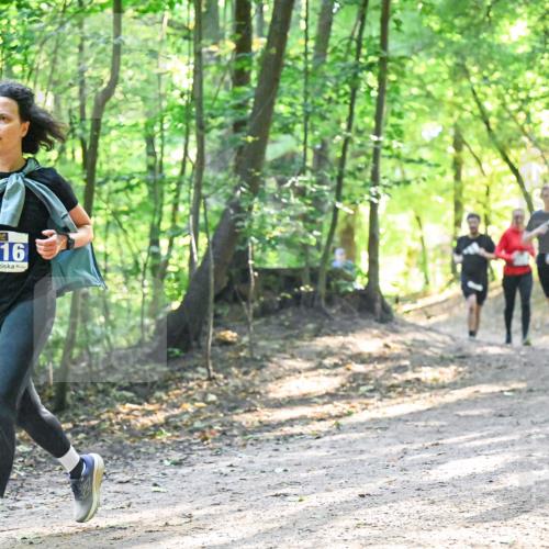 28.09.2025 - 33. Volkslauf durch das schöne Alstertal Dr. Thomas Lammeyer http://msf.ph/oto/8961774 28.09.2025 11:08:28 Laufen 116 meine-sportfotos.de