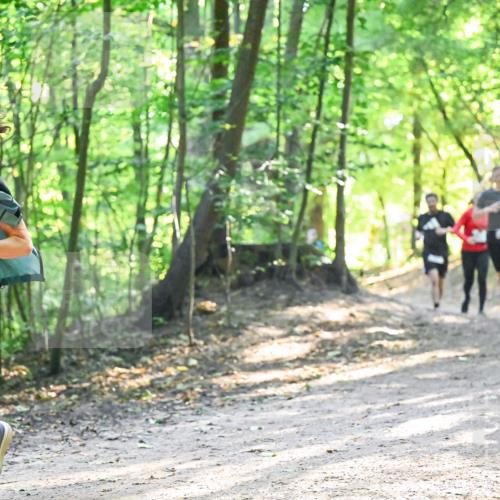 28.09.2025 - 33. Volkslauf durch das schöne Alstertal Dr. Thomas Lammeyer http://msf.ph/oto/8961775 28.09.2025 11:08:28 Laufen 311 meine-sportfotos.de